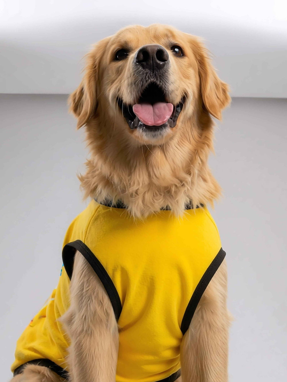 Careatic™ Born to Be Awesome Yellow Dog T-Shirt for Golden Retriever - CAREATIC