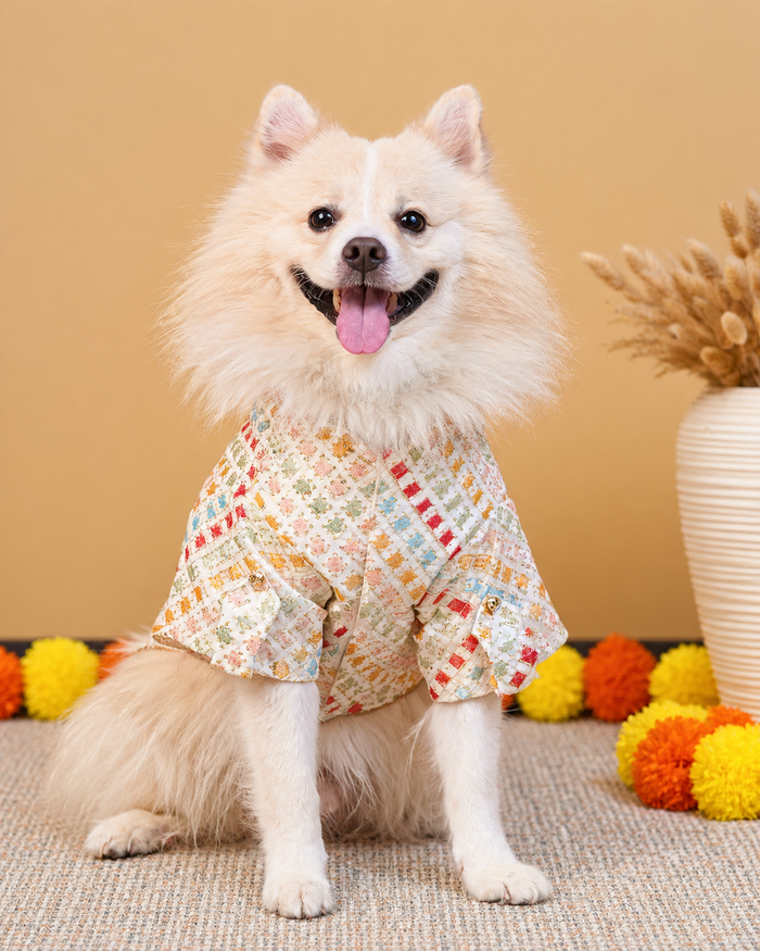 Satrangi Kurta