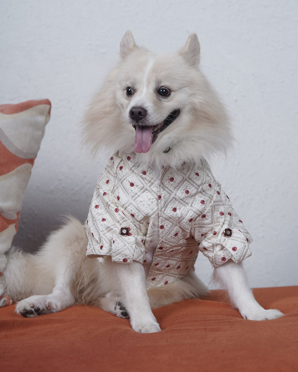 Laal Bindi dog kurta on an Indian Spitz