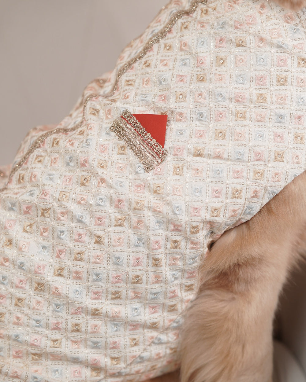 Ivory Chandni dog kurta on a Golden Retriever