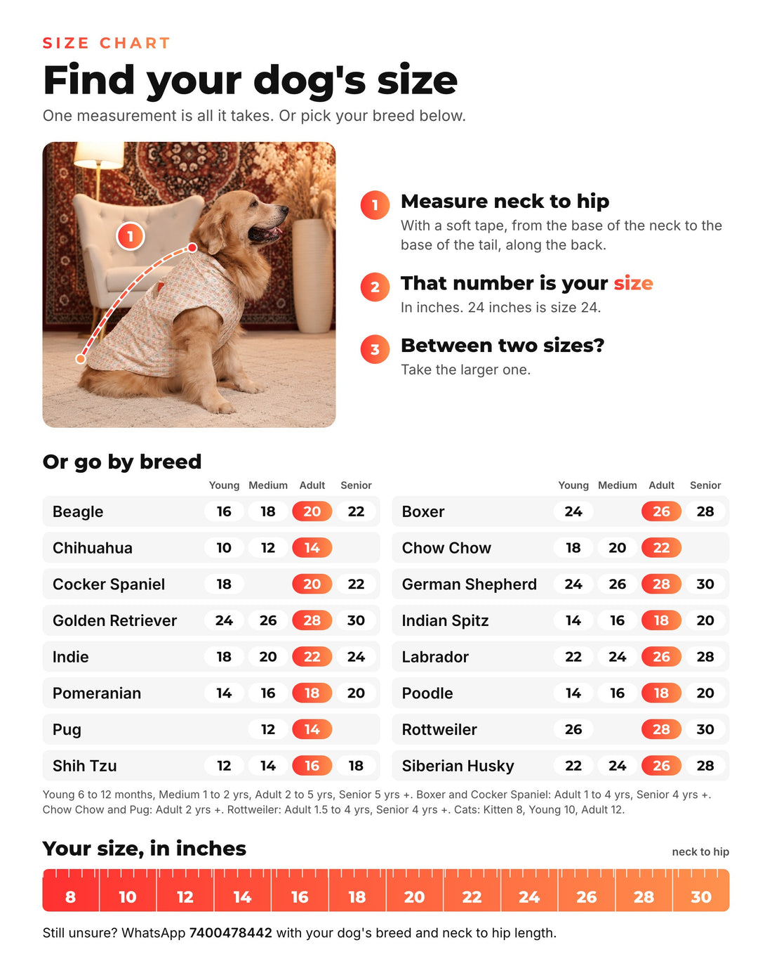 Size chart: measure your dog from the base of the neck to the base of the tail in inches, that number is the size, with sizes by breed and age