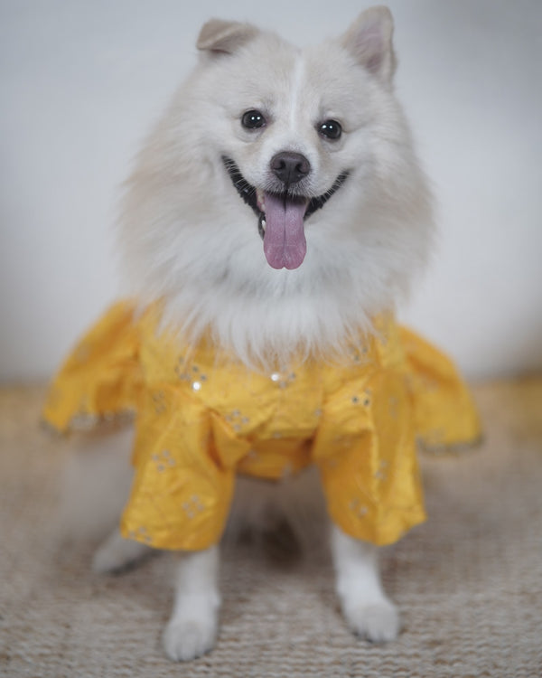 Careatic™ Genda Phool Dog Lehenga