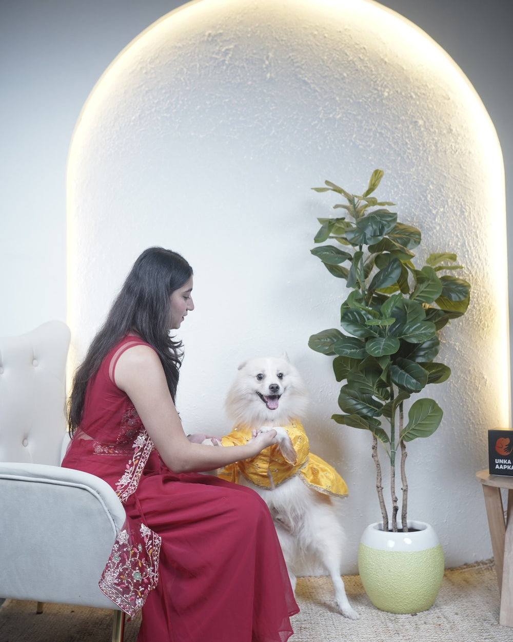 Genda Phool dog lehenga on an Indian Spitz