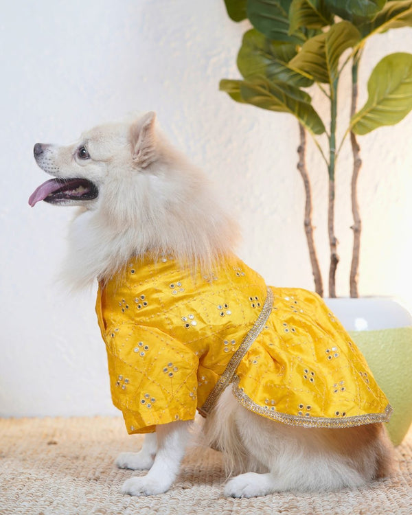 Side view of the Genda Phool dog lehenga showing the gathered skirt and gold trim