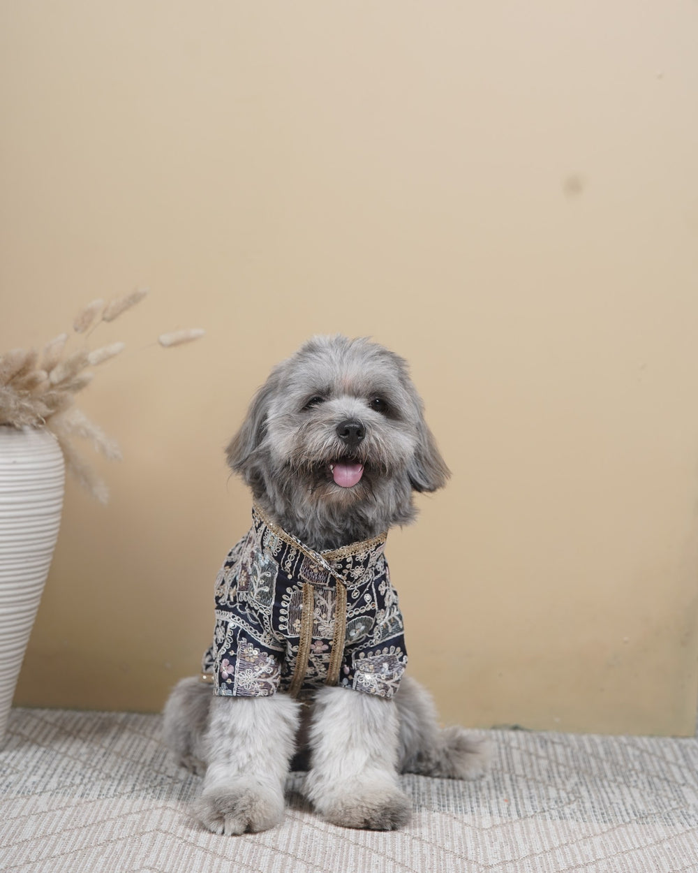 Indigo Jaal dog kurta on a Shih Tzu