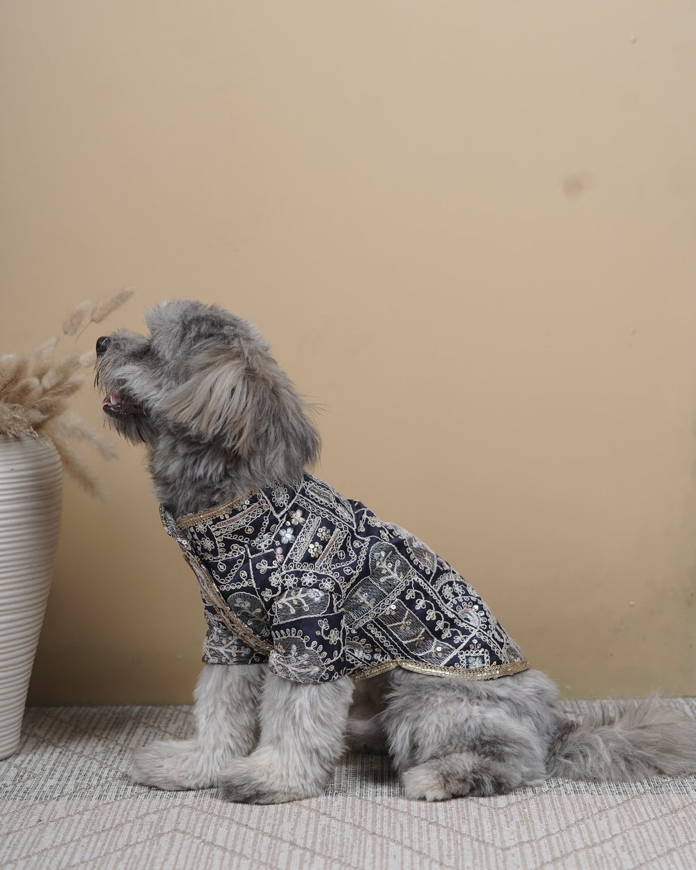 Indigo Jaal dog kurta on a Shih Tzu