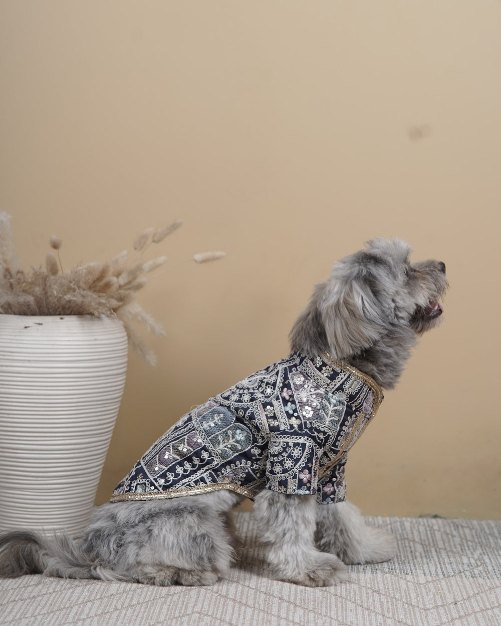 Indigo Jaal dog kurta on a Shih Tzu