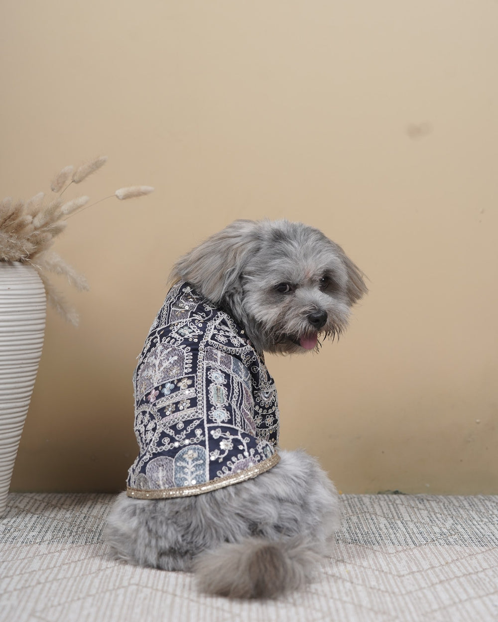 Indigo Jaal dog kurta on a Shih Tzu