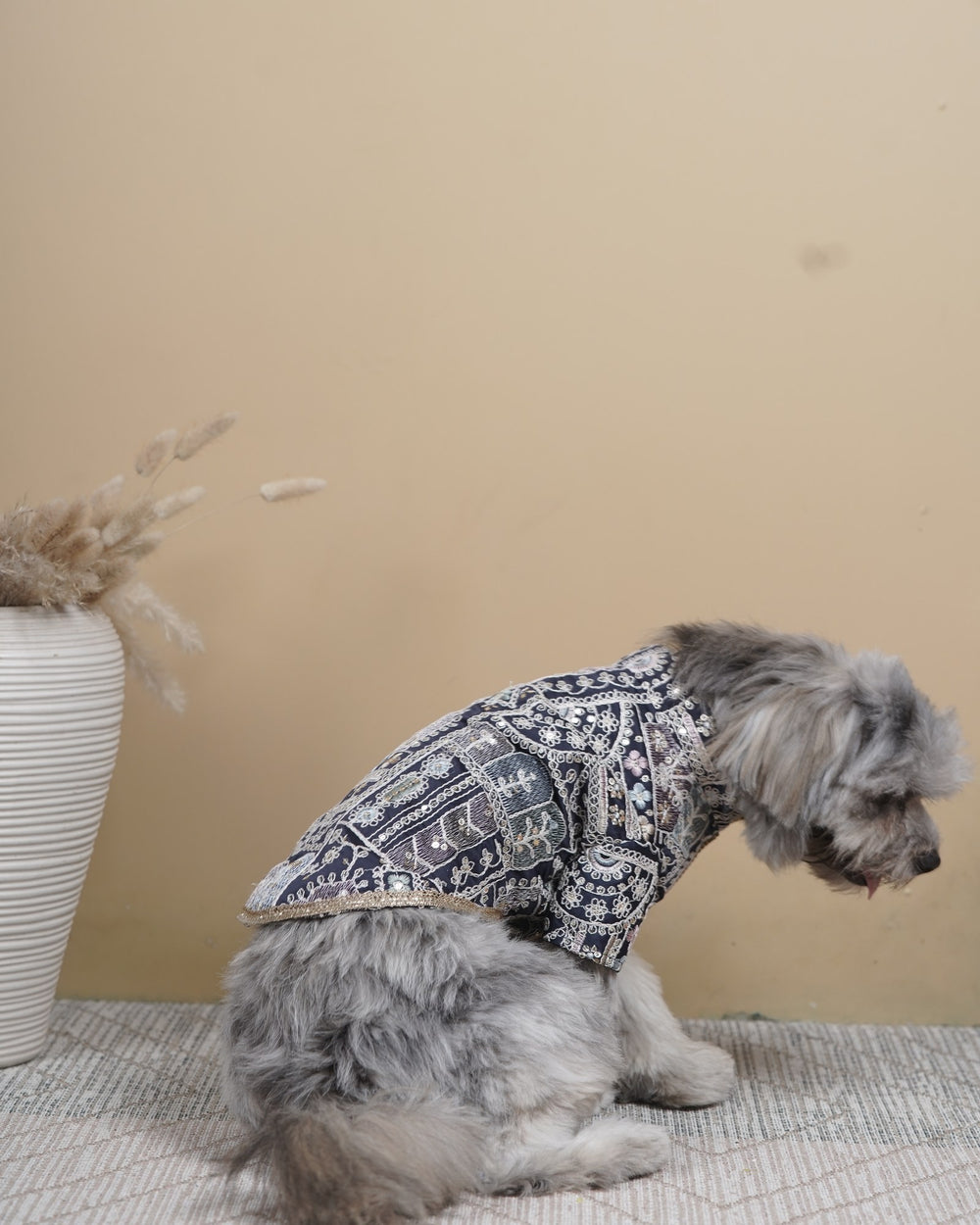Indigo Jaal dog kurta on a Shih Tzu