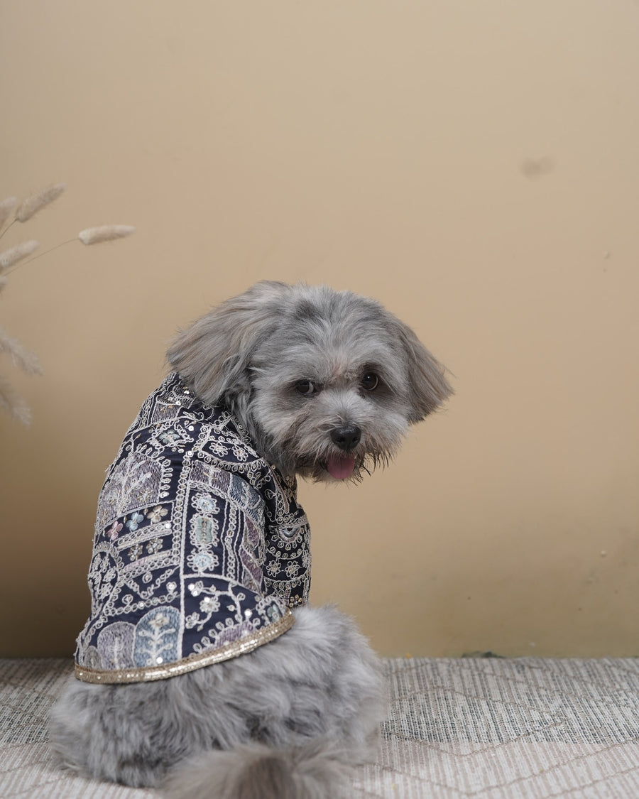 Indigo Jaal dog kurta on a Shih Tzu