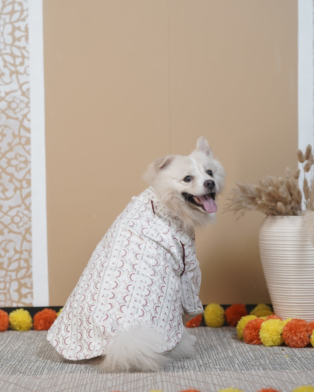 Laal Mehrab dog kurta on an Indian Spitz