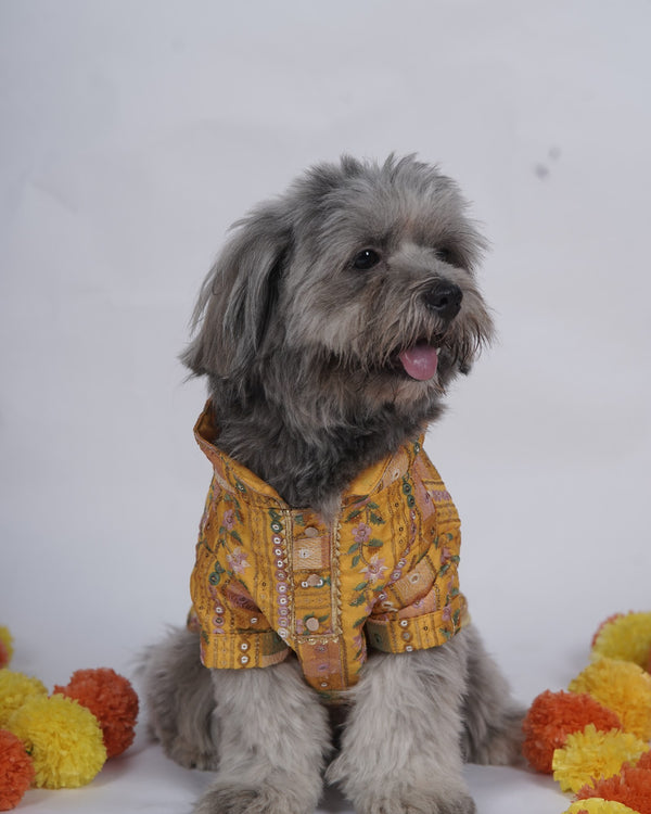 Careatic™ Mela Mustard Dog Kurta