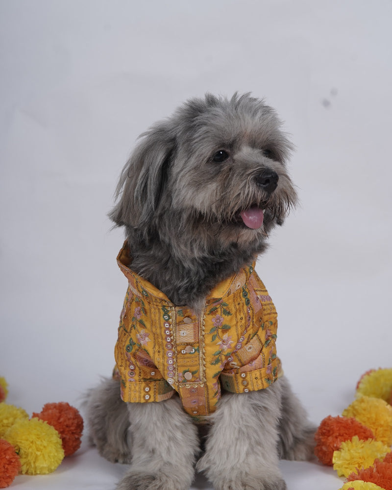 Careatic™ Mela Mustard Dog Kurta