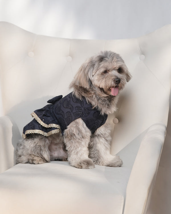 Careatic™ Midnight Ghera Dog Lehenga