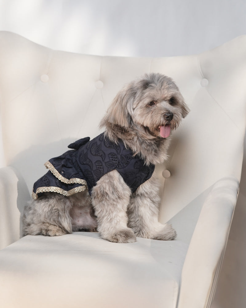 Careatic™ Midnight Ghera Dog Lehenga