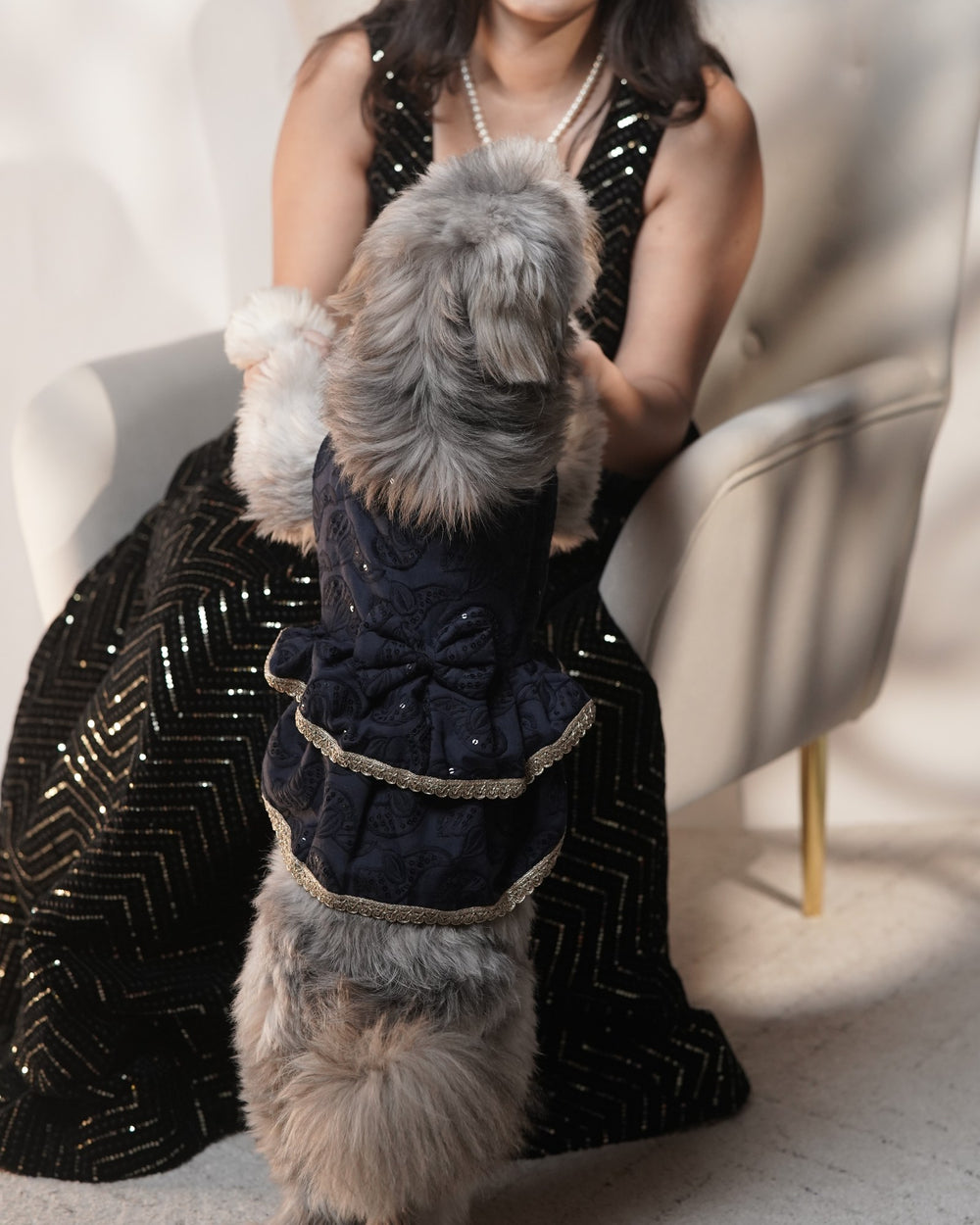 Midnight Ghera dog lehenga on a Shih Tzu