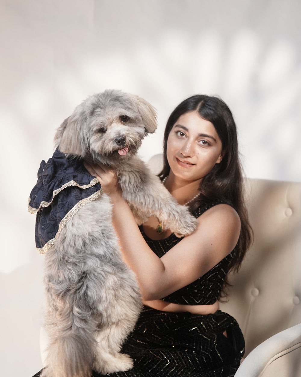 Midnight Ghera dog lehenga on a Shih Tzu