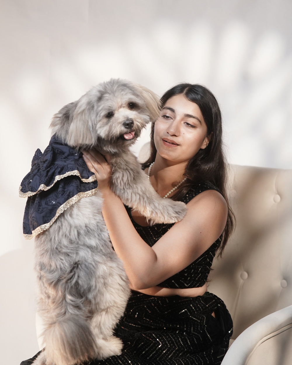 Midnight Ghera dog lehenga on a Shih Tzu