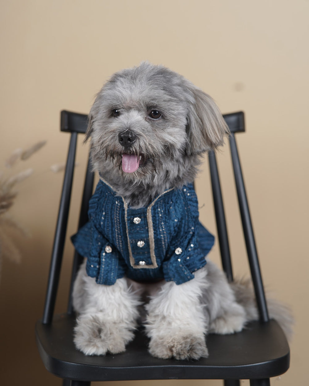 Peacock Sequin dog kurta on a Shih Tzu
