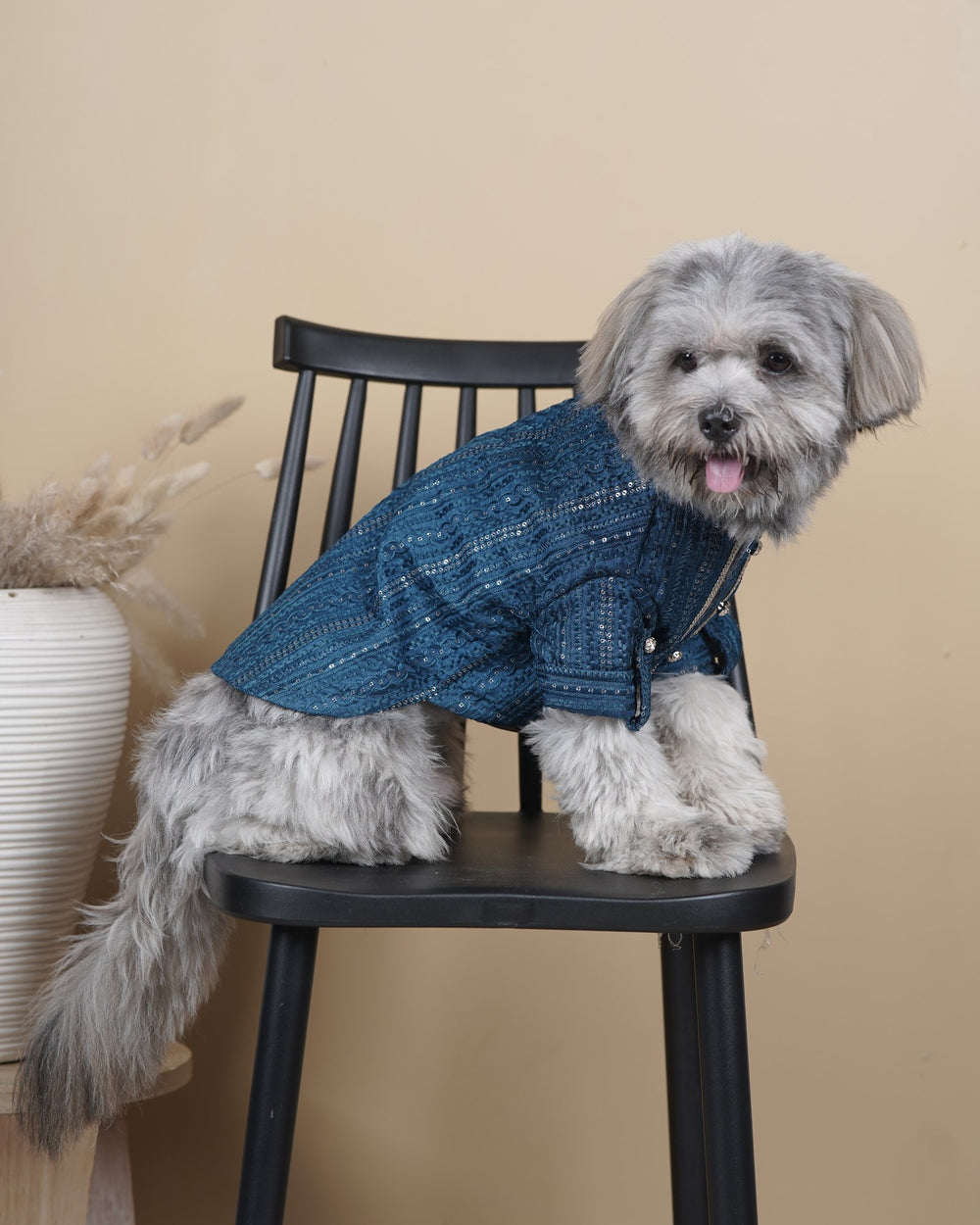 Peacock Sequin dog kurta on a Shih Tzu