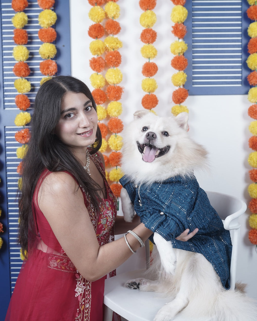 Peacock Sequin dog kurta on an Indian Spitz