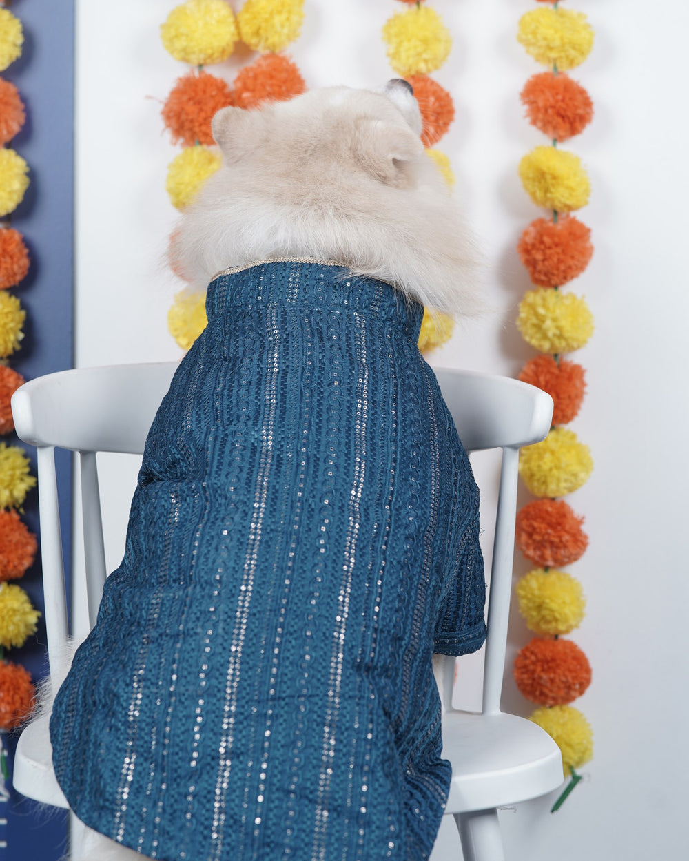 Peacock Sequin dog kurta on an Indian Spitz