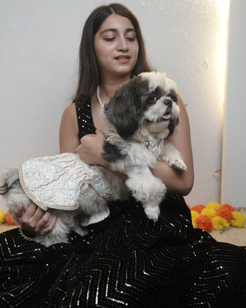 Pearl Ghera dog lehenga on a Shih Tzu