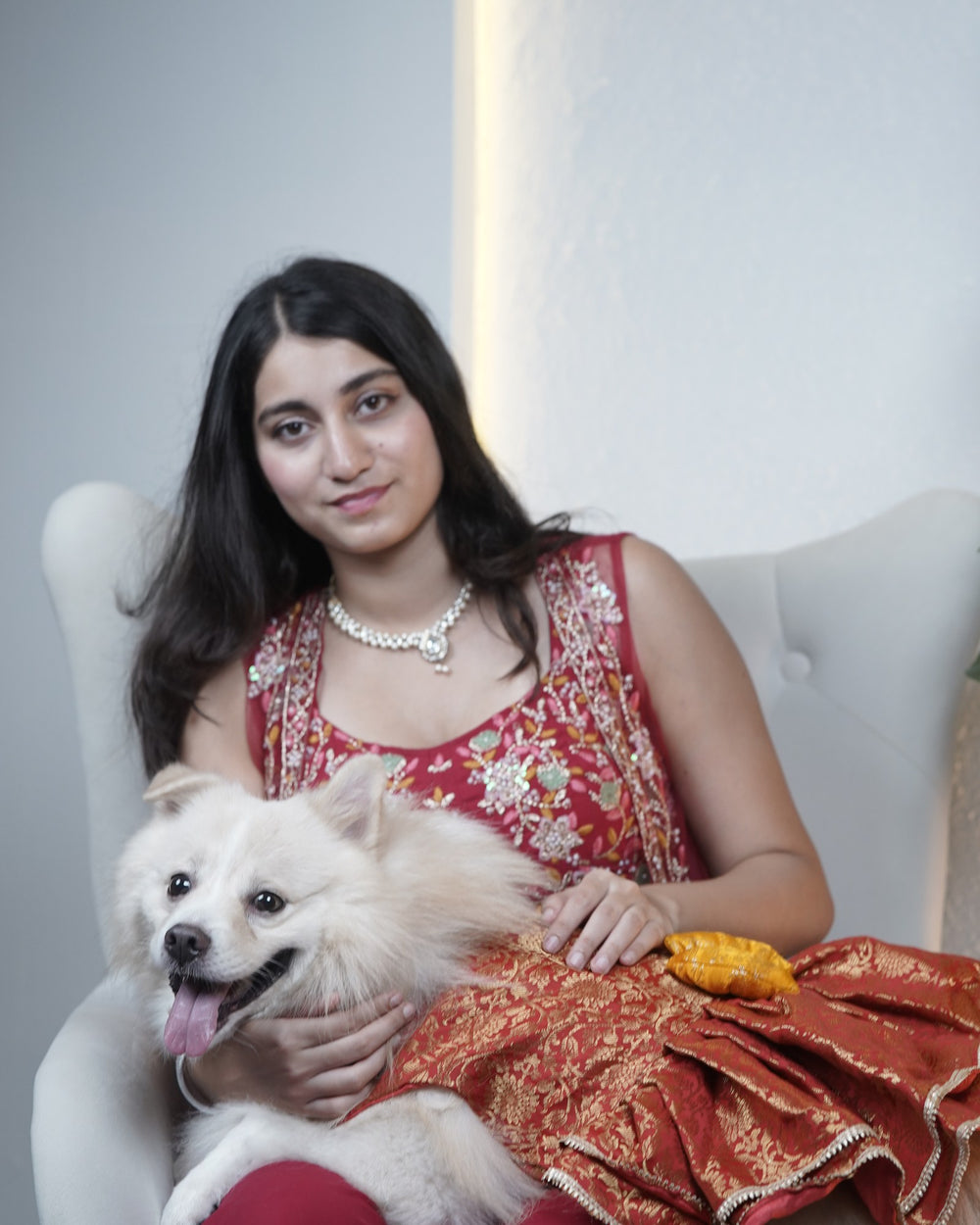 Sindoori Gold dog lehenga on an Indian Spitz
