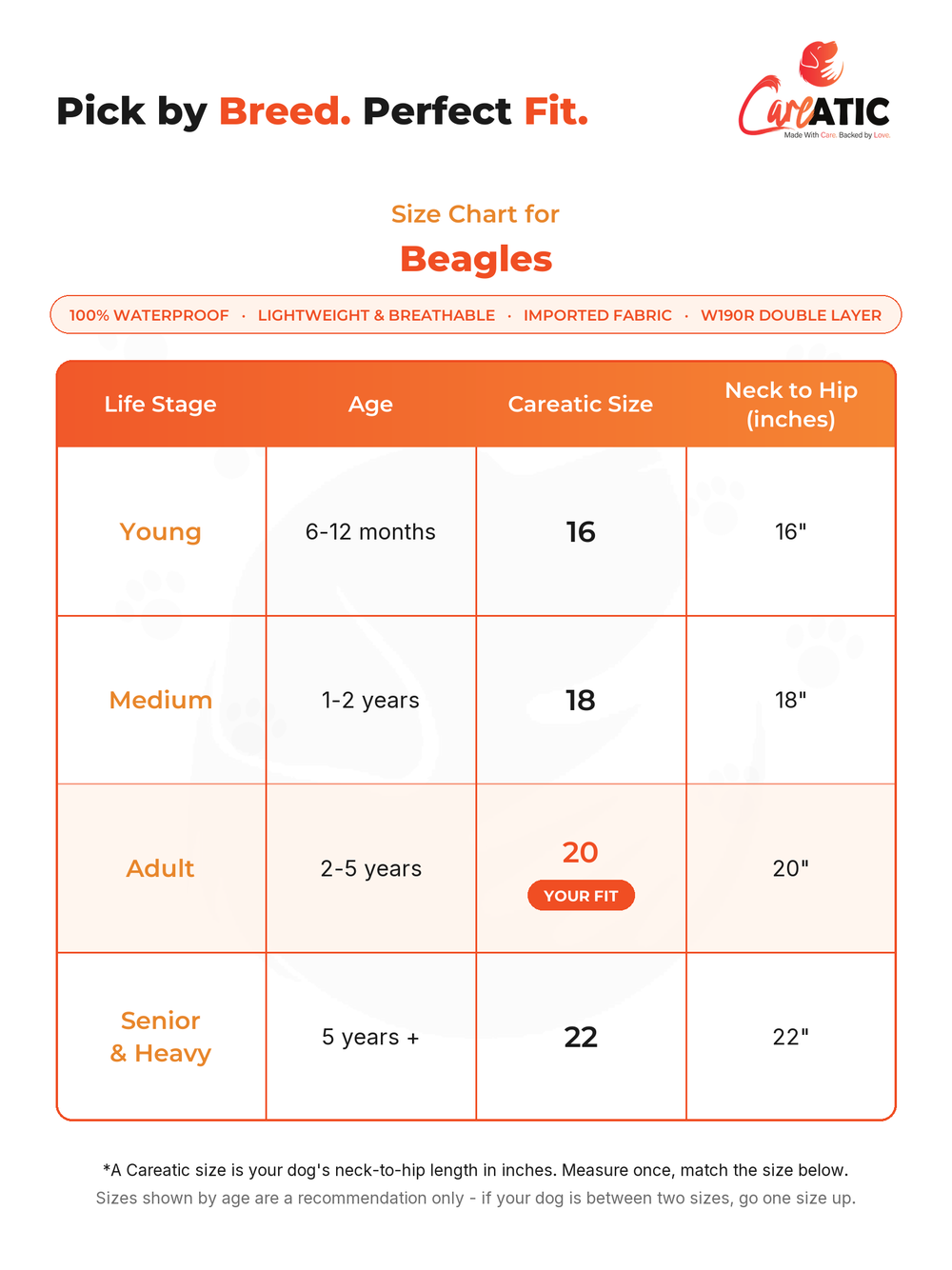 Careatic dog apparel size chart for Beagle — neck, chest and back-length measurements