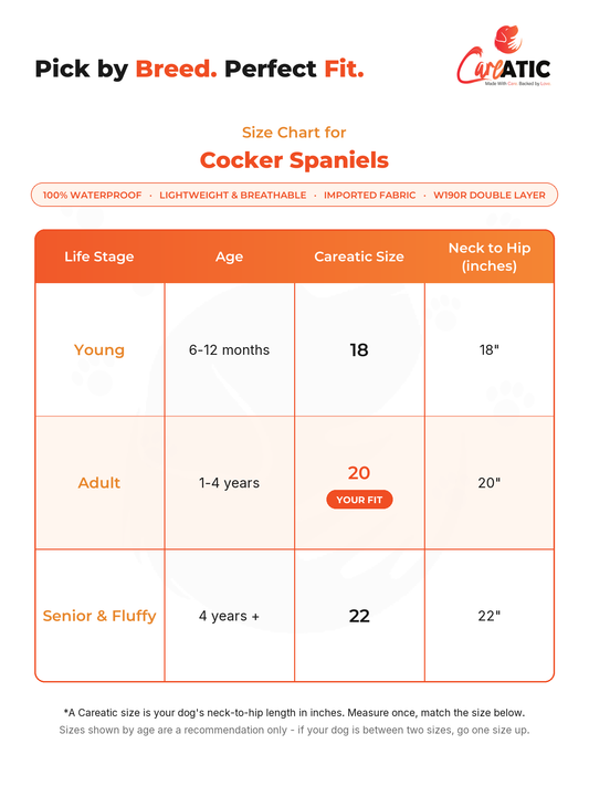 Careatic dog apparel size chart for Cocker Spaniel — neck, chest and back-length measurements