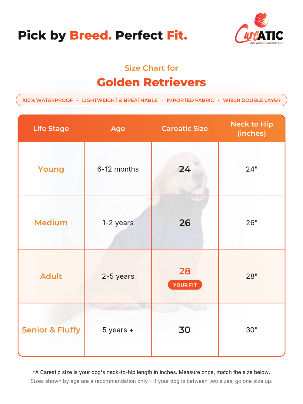 Careatic dog apparel size chart for Golden Retriever — neck, chest and back-length measurements