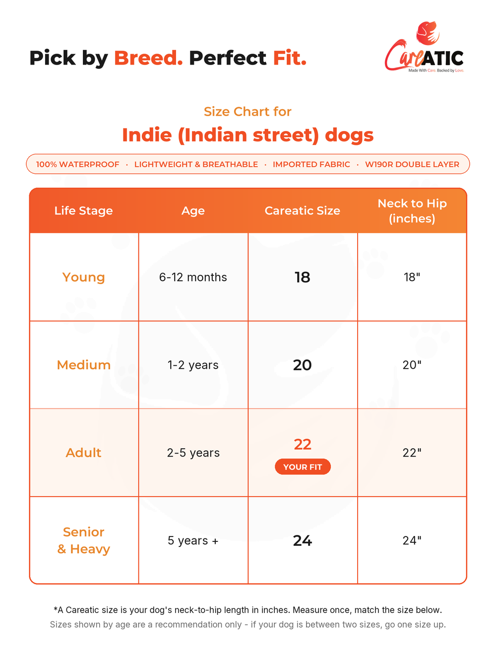 Careatic dog apparel size chart for Indie — neck, chest and back-length measurements