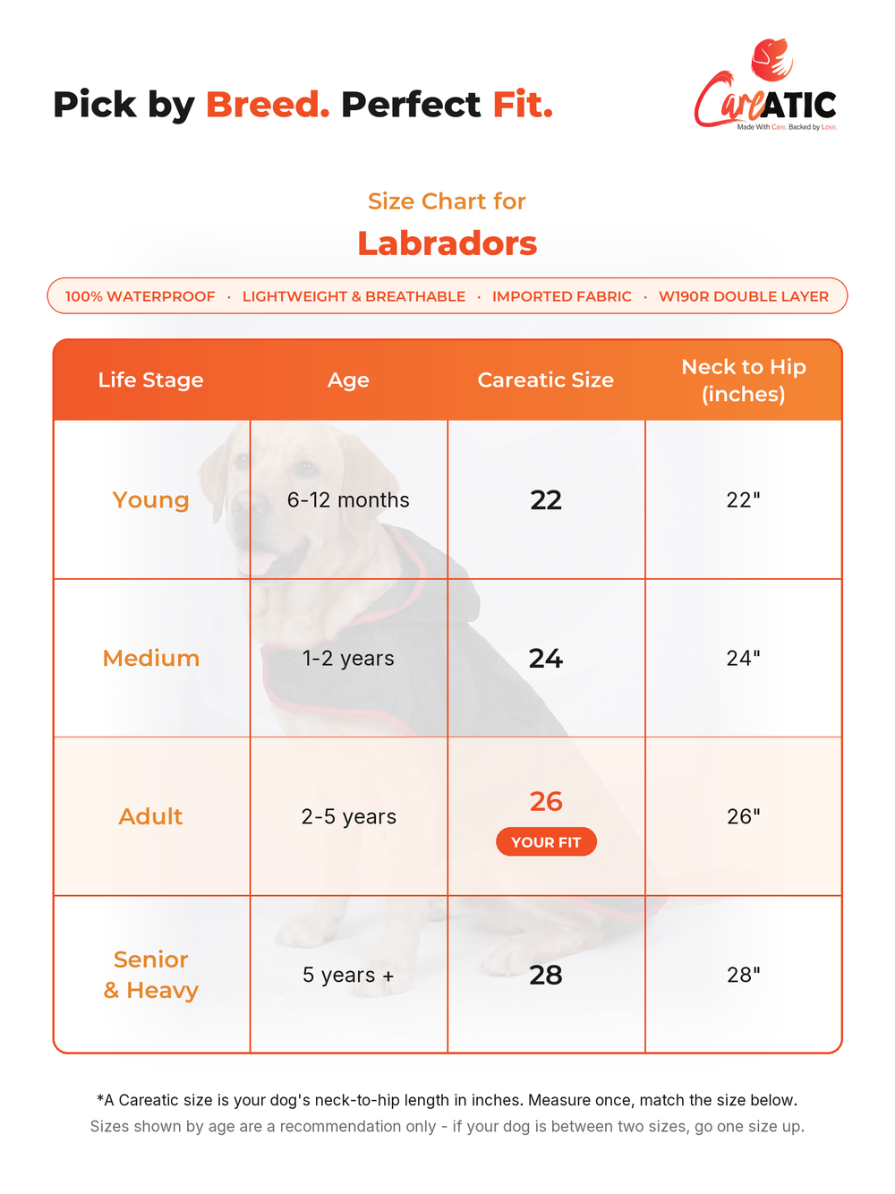 Careatic dog apparel size chart for Labrador Retriever — neck, chest and back-length measurements