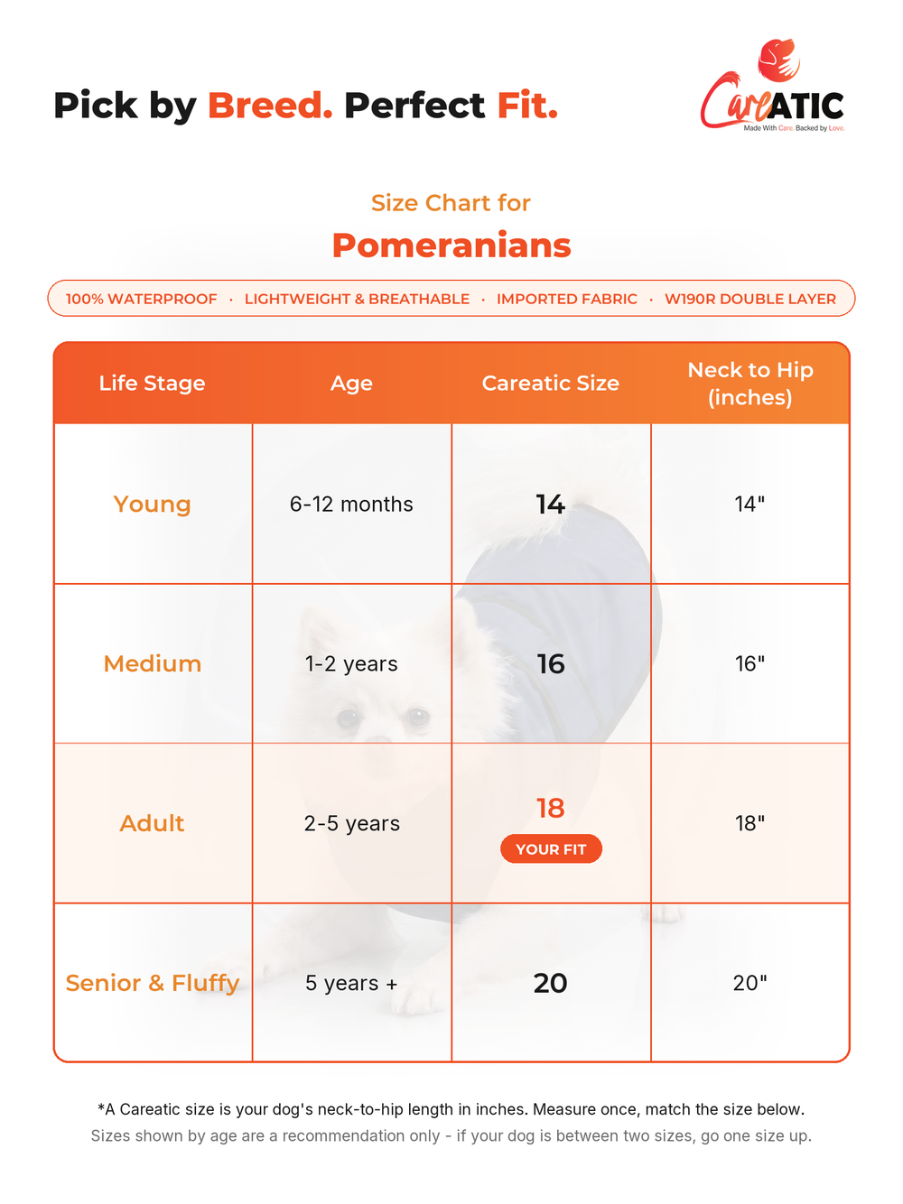Careatic dog apparel size chart for Pomeranian — neck, chest and back-length measurements