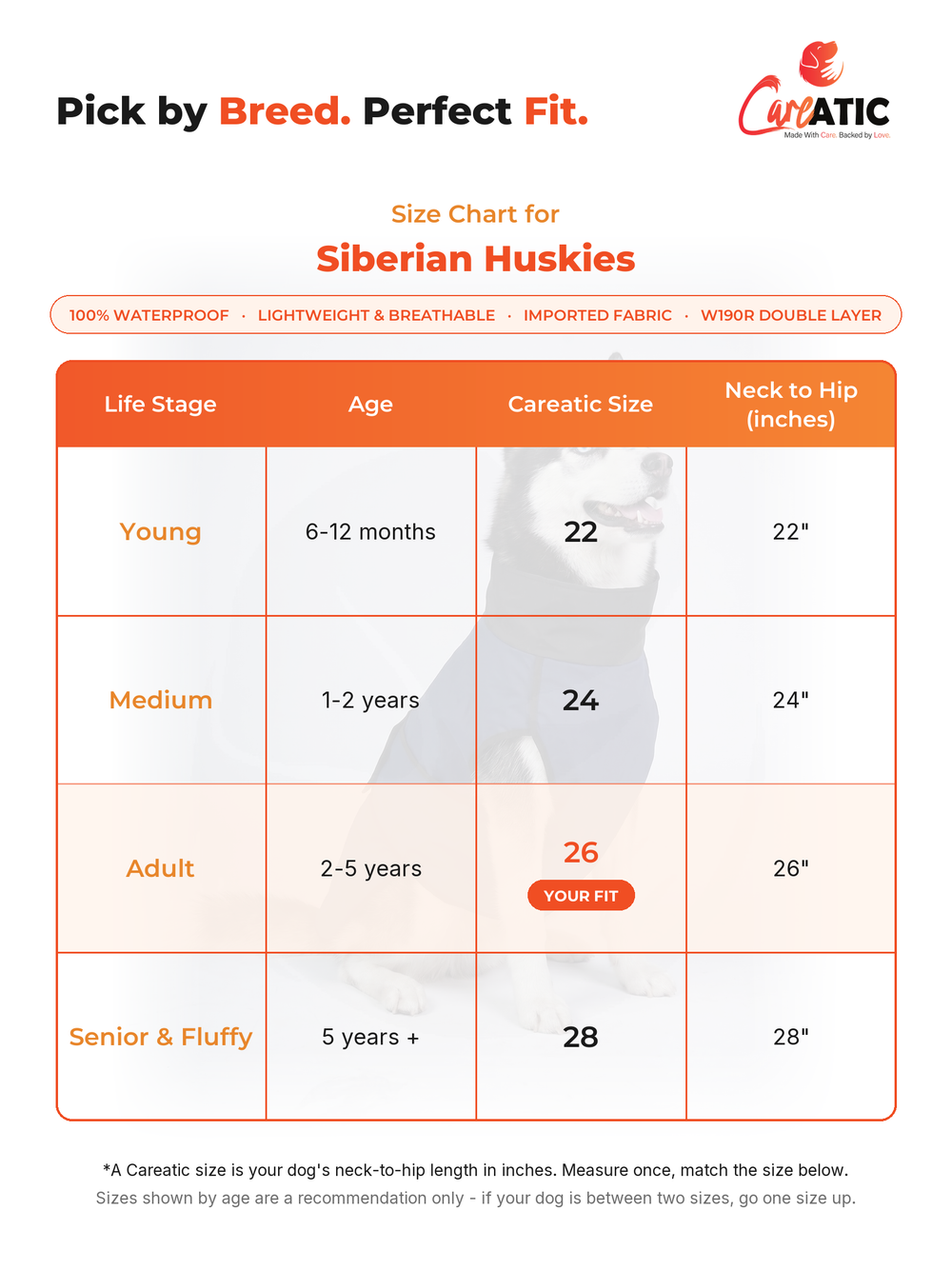 Careatic dog apparel size chart for Husky — neck, chest and back-length measurements