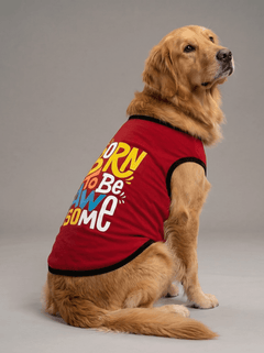 Careatic™ Born to Be Awesome Red Dog T-Shirt for Golden Retriever