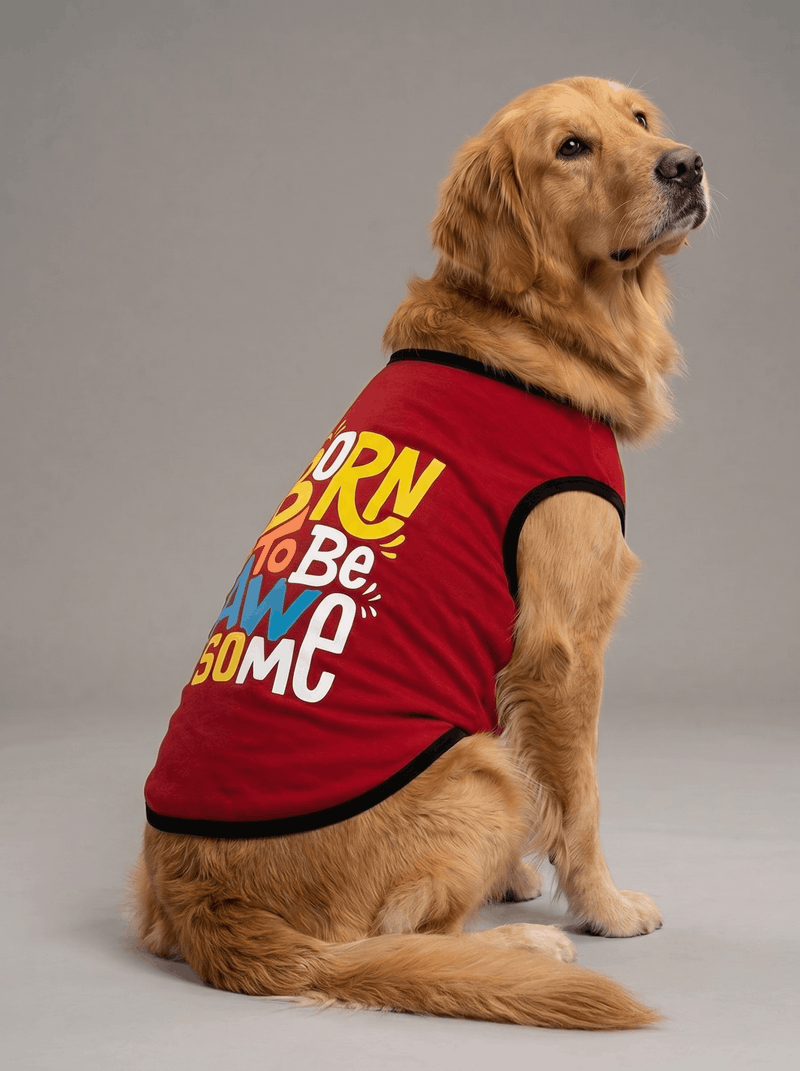 Careatic™ Born to Be Awesome Red Dog T-Shirt for Golden Retriever