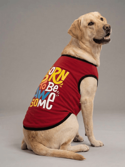 Careatic™ Born to Be Awesome Red T-shirt for Labrador Retriever - CAREATIC