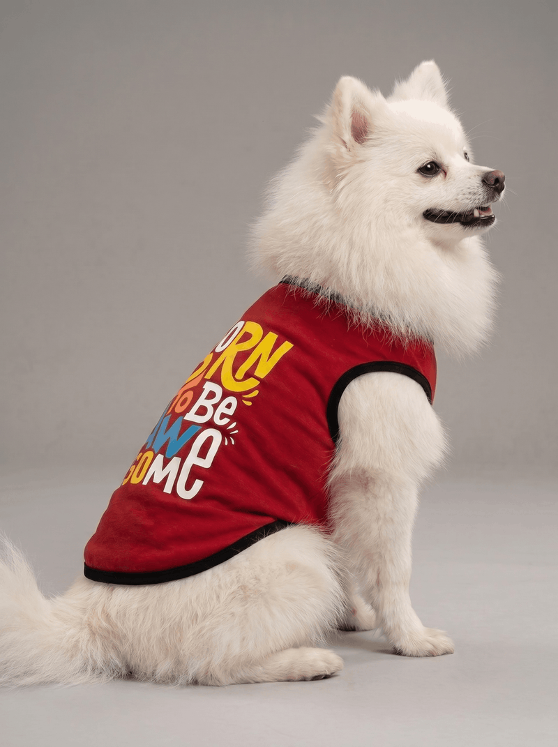 Careatic™ Born to Be Awesome Red Dog T-Shirt for Pomeranian
