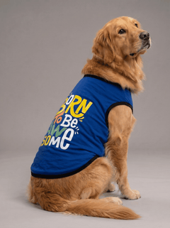 Careatic™ Born to Be Awesome Blue Dog T-Shirt for Golden Retriever