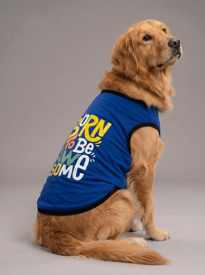 Careatic™ Born to Be Awesome Blue Dog T-Shirt for Golden Retriever
