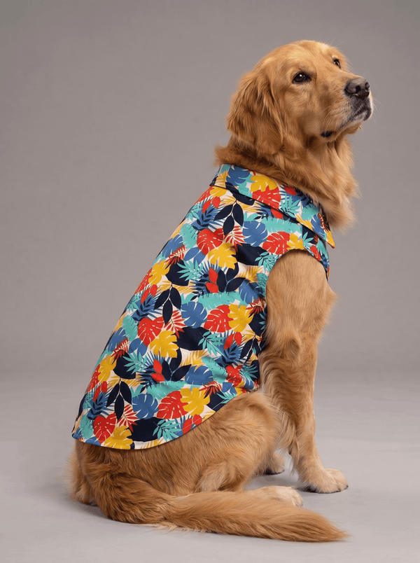 Careatic™ Goa Vibes Dog Shirt for Golden Retriever
