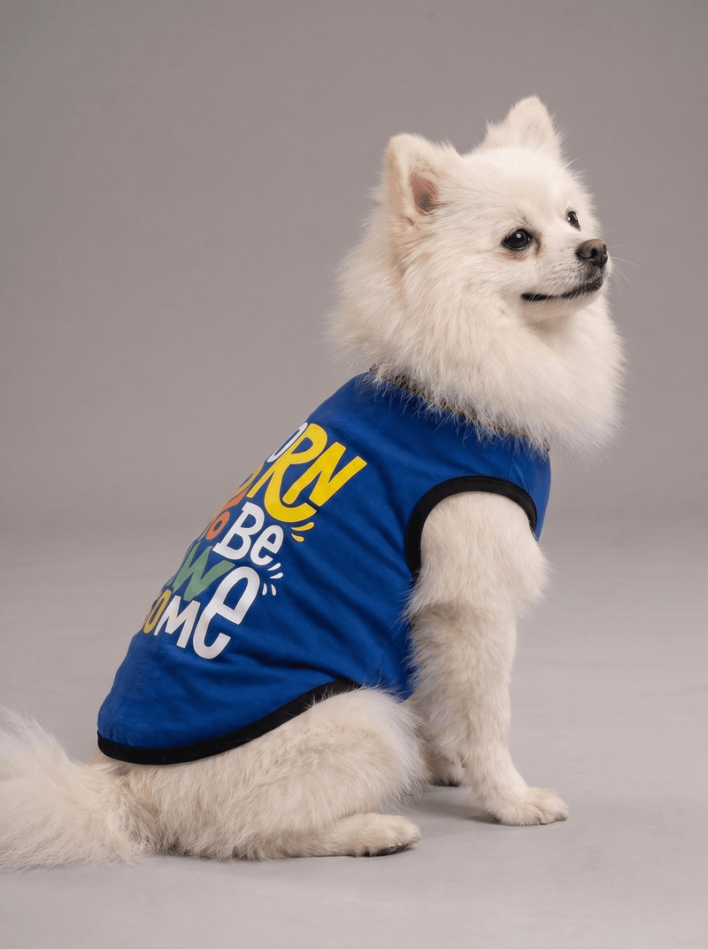 Careatic™ Born to Be Awesome Blue Dog T-Shirt for Pomeranian
