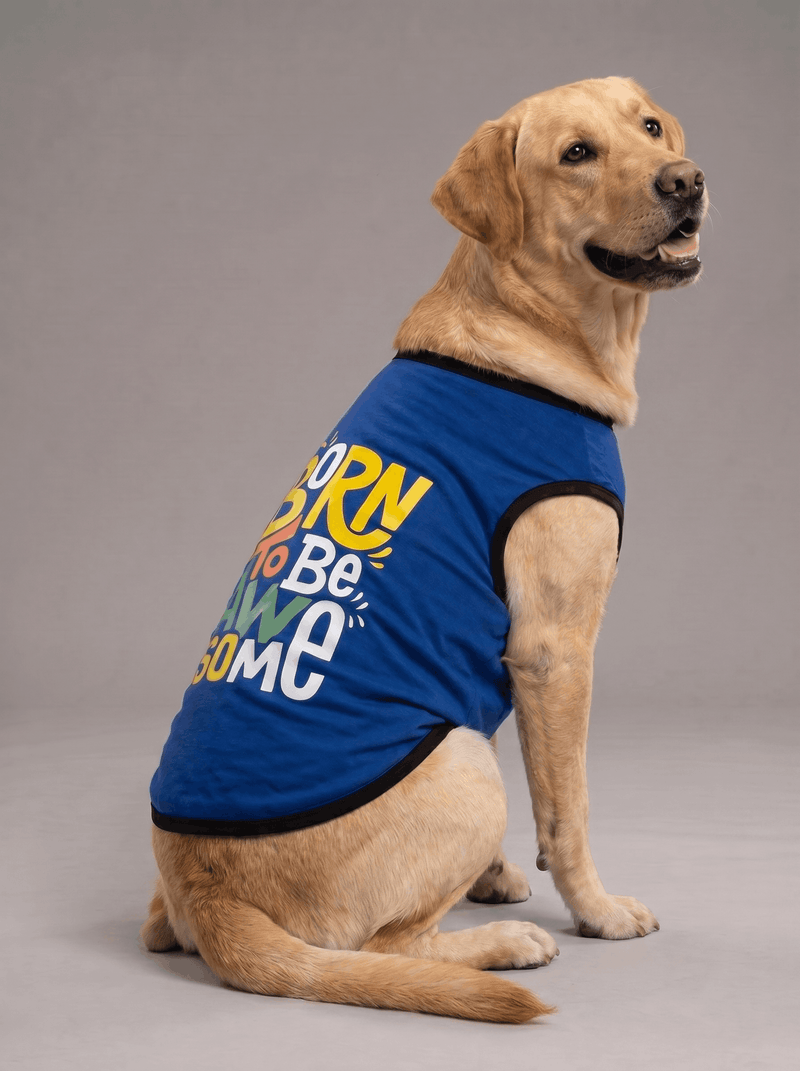 Careatic™ Born to Be Awesome Blue Dog T-Shirt for Labrador Retriever