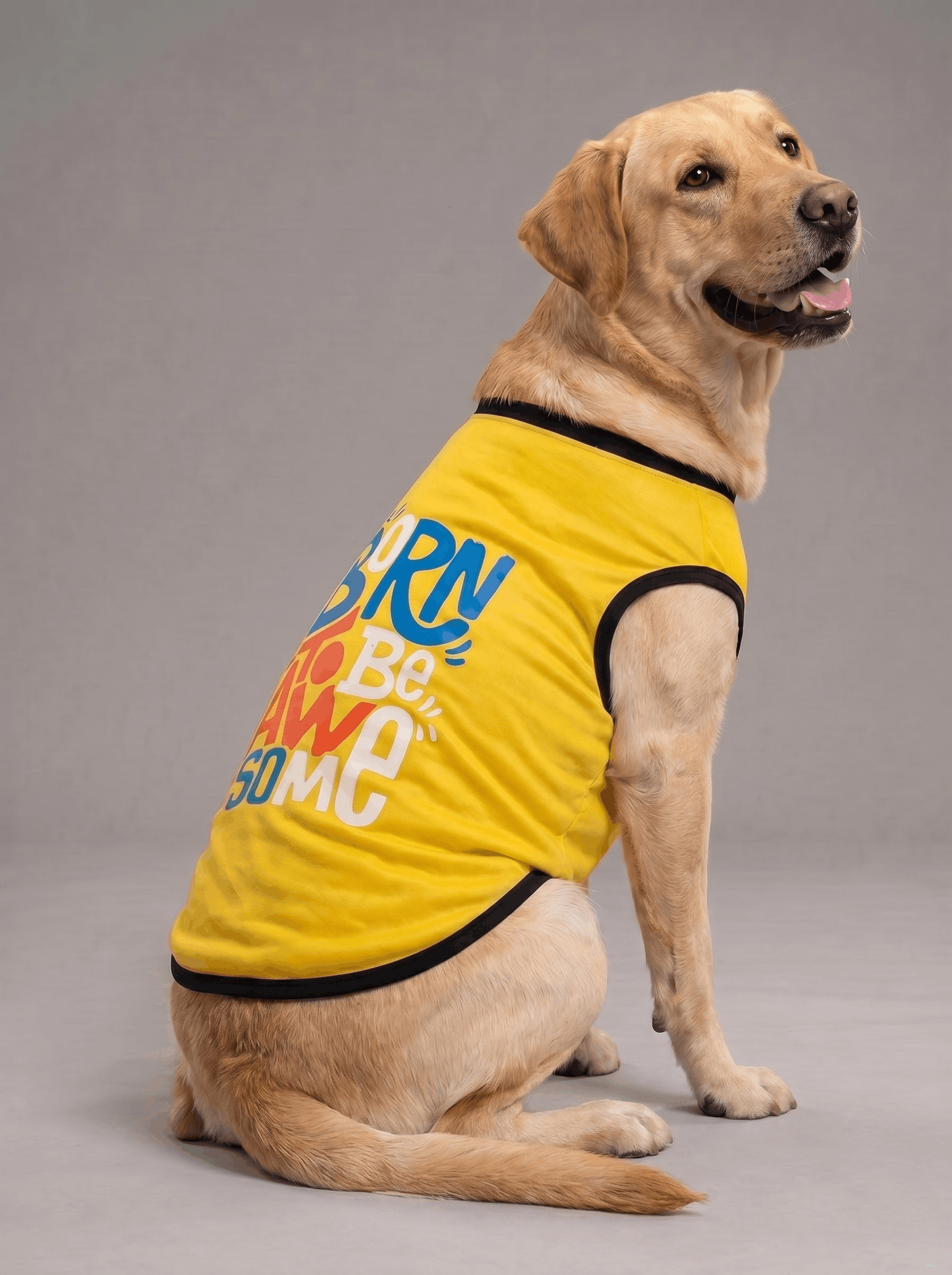 Careatic™ Born to Be Awesome Yellow T-shirt for Labrador Retrievers - CAREATIC