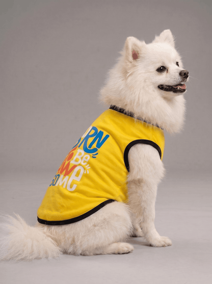 Careatic™ Born to Be Awesome Yellow T-shirt for Pomeranian - CAREATIC