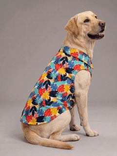 Careatic™ Goa Vibes Dog Shirt for Labrador Retriever