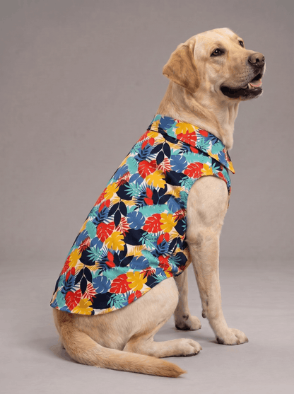 Careatic™ Goa Vibes Shirt for Labrador Retrievers - CAREATIC
