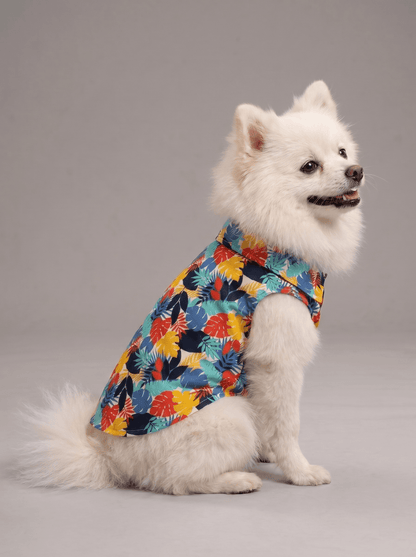 Careatic™ Goa Vibes Shirt for Pomeranian - CAREATIC
