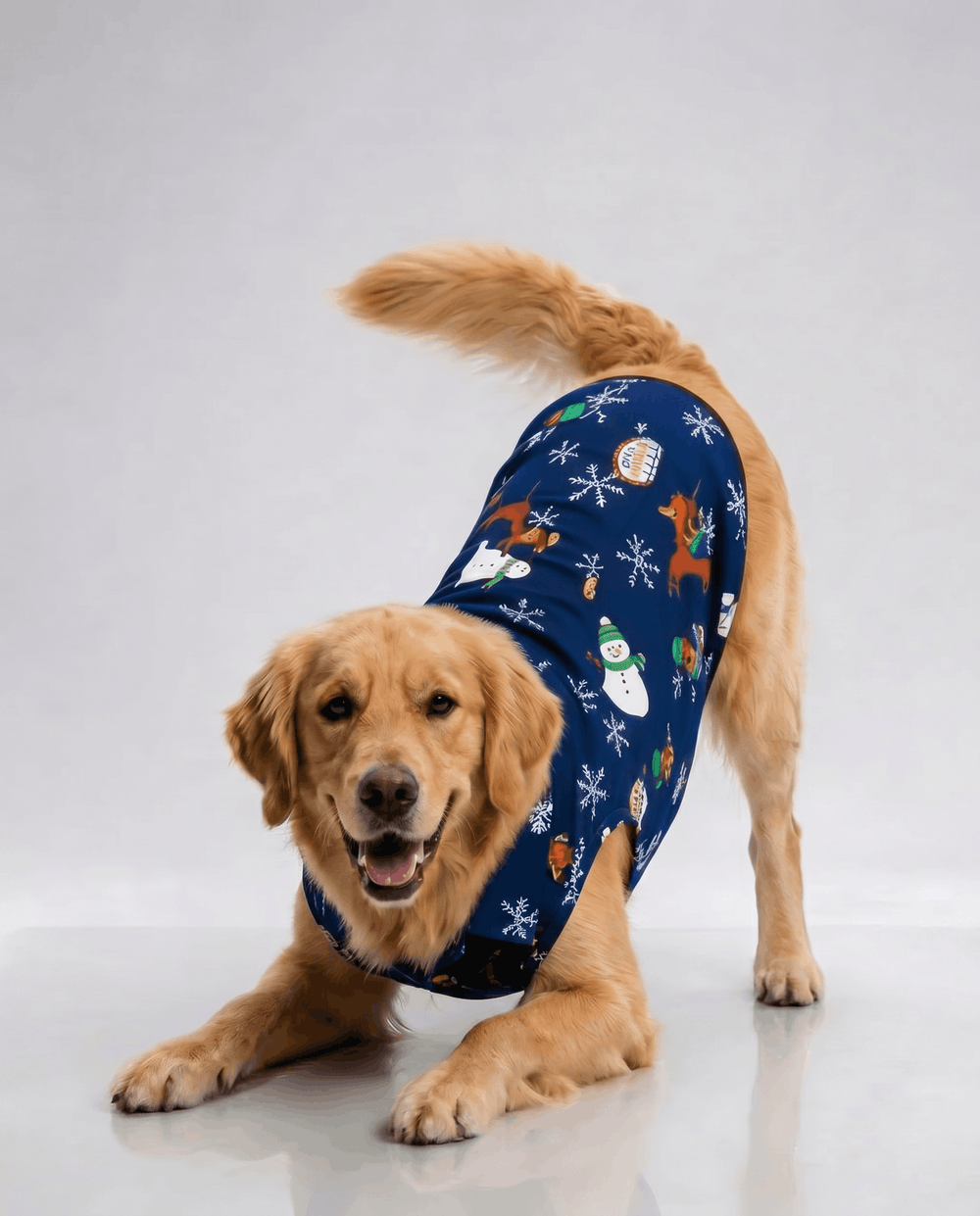 Careatic™ Snowie Navy Dog Shirt for Golden Retriever - CAREATIC